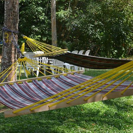 Jungle Beach Hostel Unawatuna Extérieur photo