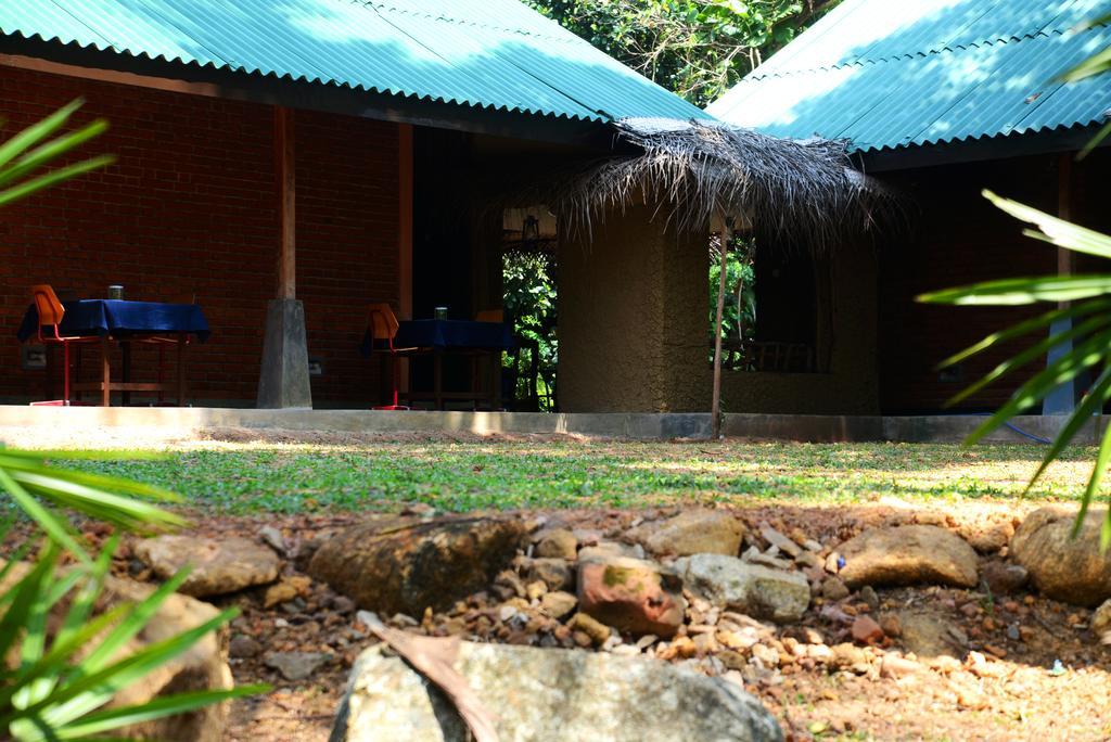 Jungle Beach Hostel Unawatuna Extérieur photo