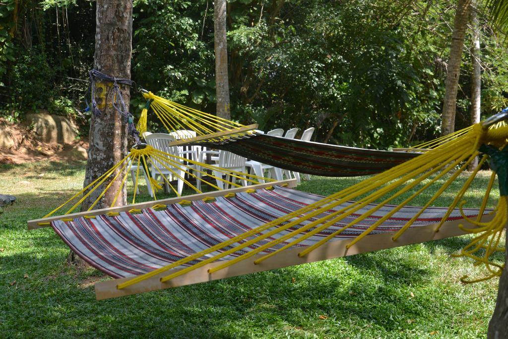 Jungle Beach Hostel Unawatuna Extérieur photo