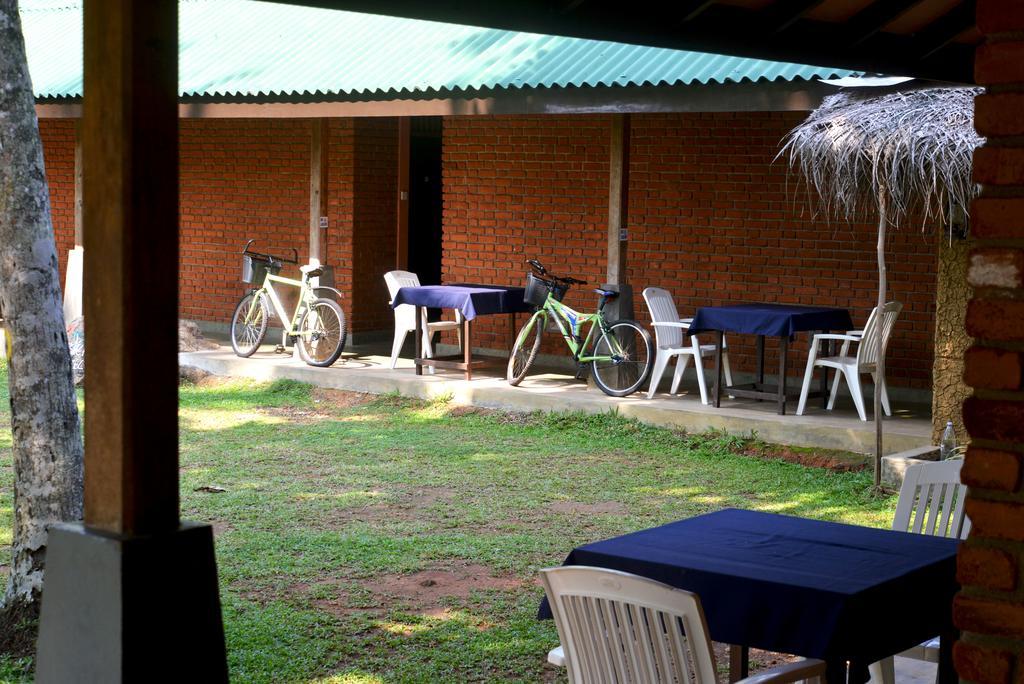 Jungle Beach Hostel Unawatuna Extérieur photo