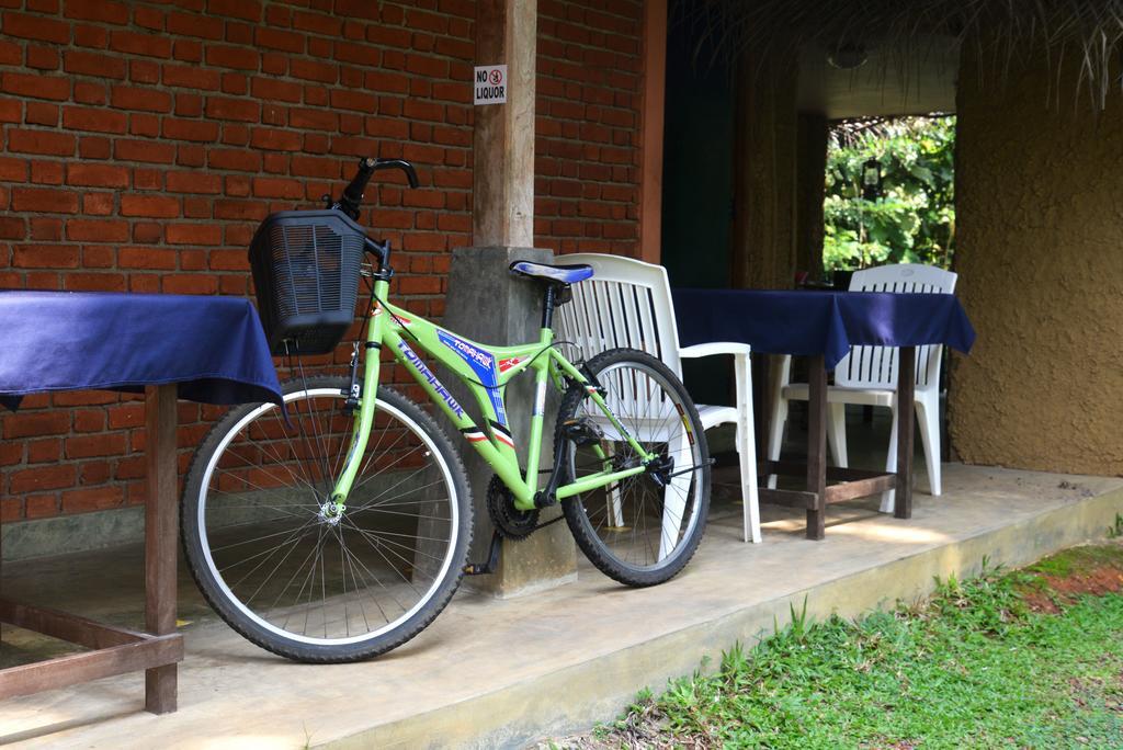 Jungle Beach Hostel Unawatuna Extérieur photo